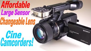 Affordable Large Sensor Camcorders JVC LS300 Panasonic AF100 Canon C100 Sony VG900 VG30 FS5ii [upl. by Trescha67]