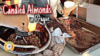 Street Food Candied Almonds Prazene Mandle Making in Prague Shorts [upl. by Cassaundra241]