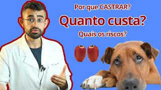 CASTRAÇÃO de machos  Dica Veterinária 18 [upl. by Rawlinson]