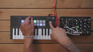 Arpeggiator  Launchkey Mini  Novation [upl. by Pedaiah]