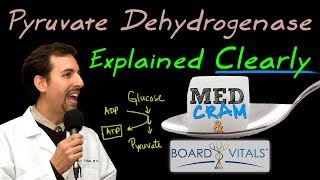 Pyruvate Dehydrogenase Deficiency Explained Clearly  Exam Practice Question [upl. by Eadmund]