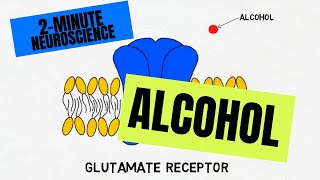 2Minute Neuroscience Alcohol [upl. by Beka]