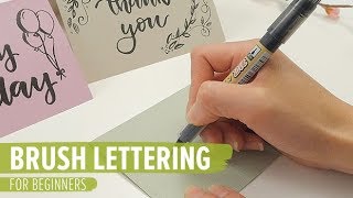 Brush Lettering for Beginners [upl. by Ayifas]