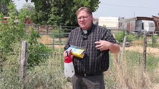 Gardening basics How to control bindweed in flower beds [upl. by Liban783]