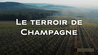 Le terroir de Champagne [upl. by Fianna]