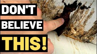 THE TRUTH ABOUT WOOD ROT You need to watch this [upl. by Damour312]