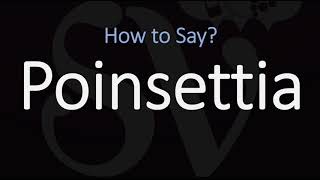 How to Pronounce Poinsettia CORRECTLY [upl. by Ajit]