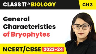 General Characteristics of Bryophytes  Plant Kingdom  Class 11 Biology Chapter 3  NCERTCBSE [upl. by Ahsaenat]