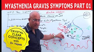 Myasthenia Gravis  Symptoms and Treatment  Part 2🩺 [upl. by Nitsirhc913]