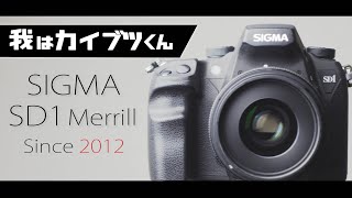 SIGMA SD1 merrillの書き込み中はトロイメライでも聴いとけば遅さなんて気になんないもんね。 [upl. by Jerrine111]