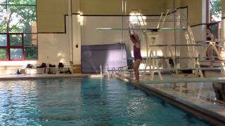 Teach a Flip for Springboard Diving [upl. by Aseek]