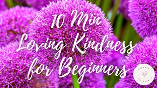 10 Minute Loving Kindness Meditation for Beginners [upl. by Frankel]