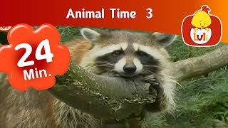 Animal Time 3  Luli TV Specials  Cartoon for Children  Luli TV [upl. by Kasper215]