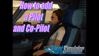 How to add a CoPilot and Pilot in the cockpit MSFS2020 [upl. by Ambrosia]