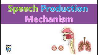 Speech Production Mechanism [upl. by Leribag]