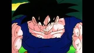 Goku transformation super saiyan vf  Dragon Ball Z [upl. by Cathryn770]