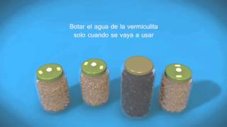 Tutorial sobre cultivo de hongos [upl. by Gwen]