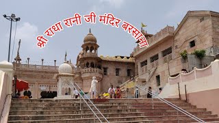 Sri Radha Rani Mandir  Barsana Mathura  Radha Ji Temple [upl. by Avehstab]