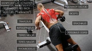 The Best ScienceBased Back Workout TARGET EVERY MUSCLE [upl. by Dud]