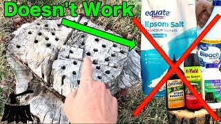 How To Rot A Tree Stump The Only Way That Works [upl. by Faden]