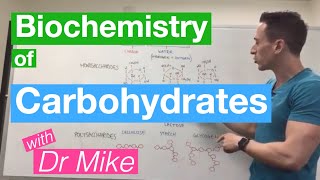 Carbohydrates  Biochemistry [upl. by Sankey82]