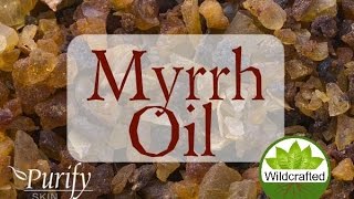 Myrrh Essential Oil All You Ever Need To Know [upl. by Fafa211]