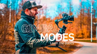 Gimbal Movements For Beginners  Improve Your Gimbal Shots  Gimbal Modes Tutorial [upl. by Bartholomeus]