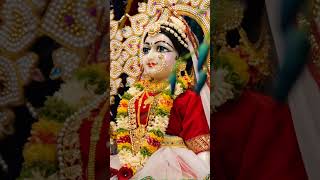 Patotsav Day 2 Special Darshan  Hare Krishna Mandir [upl. by Naie256]