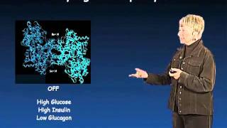 Susan Taylor UCSD Part 1 Protein Phosphorylation in Biology [upl. by Anitnahs]