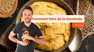 Recette de moutarde fermentée [upl. by Hoffert317]