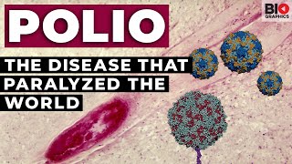 Polio The Disease that Paralyzed the World [upl. by Leik]