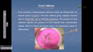 Indicator organism fecal coliform total coliform [upl. by Nnyliak]