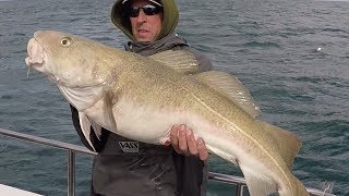 Cod Fishing in the Shetland Islands with John Keggie [upl. by Euqina]