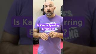 Is Karate Sparring Effective [upl. by Ahsenor]