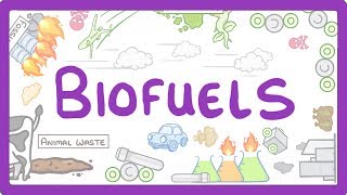 GCSE Physics  Biofuels 12 [upl. by Helmer]