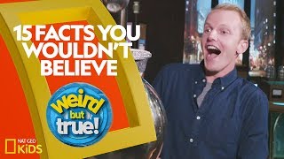 15 Facts You Wouldn’t Believe  Weirdest Bestest Truest [upl. by Anitselec983]