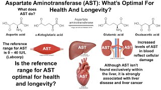 Aspartate Aminotransferase Whats Optimal And Can It Be Improved [upl. by Jedd832]