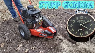 DR stump grinder real time stump grind from start to finish [upl. by Maeve]