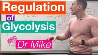 Glycolysis  Metabolism [upl. by Zetnahs]