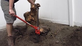 Stump Removal with Farm Jack [upl. by Idel]