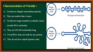 Viroids [upl. by Balfore]