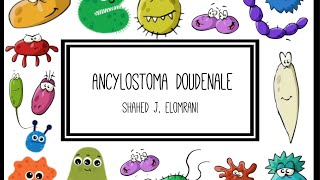 Ancylostoma Duodenale [upl. by Ytrebil855]