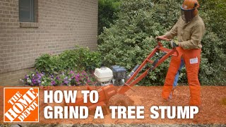 How To Grind A Tree Stump  The Home Depot [upl. by Dnallor]