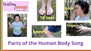 Parts of the Human Body Song  Freeze [upl. by Halet]