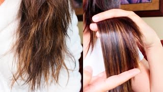 TRATAMIENTO CASERO PARA EL CABELLO SECO Y MALTRATADO CABELLO SIN FRIZZ Y SIN PUNTAS ABIERTAS [upl. by Eidualc649]