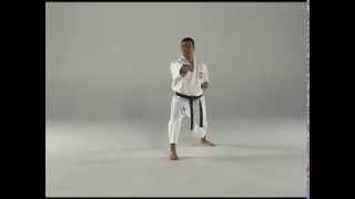 1st Kata  Taigyoku Shodan [upl. by Nebuer]