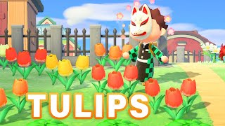 How to BREED Every TULIP Hybrid  Guide ► Animal Crossing New Horizons [upl. by Ettenyl]