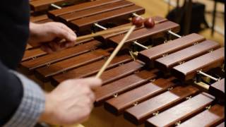 What does a xylophone sound like Scale [upl. by Leschen]