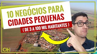 10 NEGÓCIOS PARA CIDADES PEQUENAS DE 3 A 100 MIL HABITANTES  EMPREENDA NEGÓCIOS LUCRATIVOS [upl. by Nohsed341]