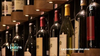 La Cité des Vins le vin sous toutes les cultures  Visites privées [upl. by Llekcor]